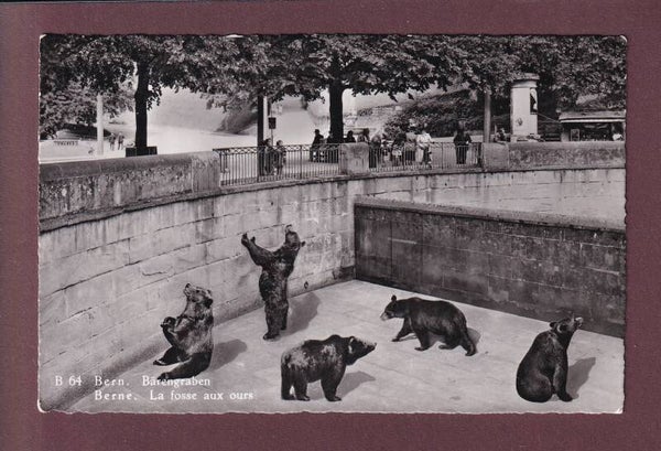 BERN - Bärengraben