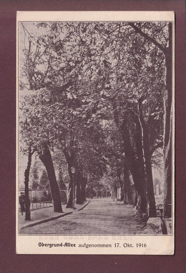 LUZERN - Obergrund-Allee - 1916