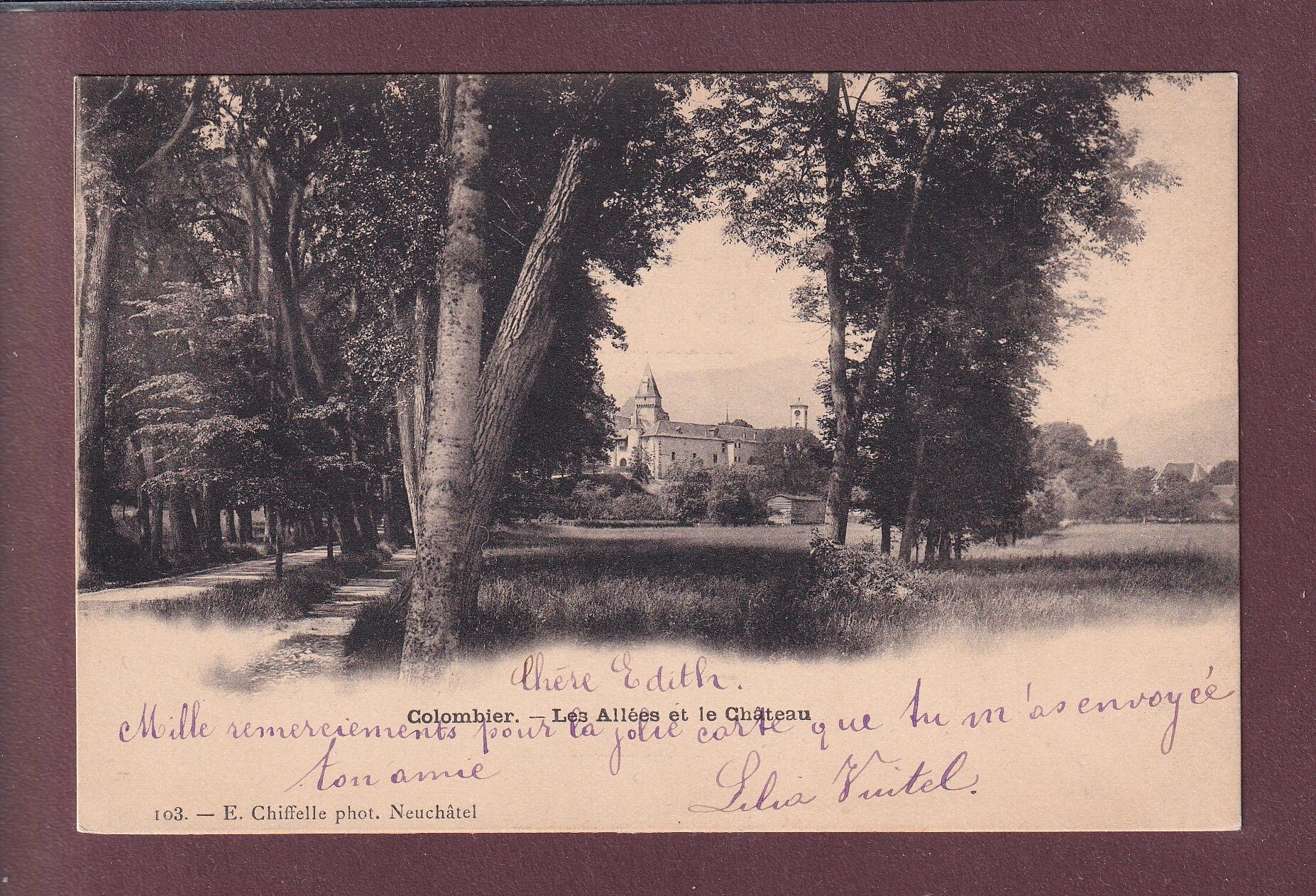 COLOMBIER - Allées du Château - 1900 // pli d'angle //