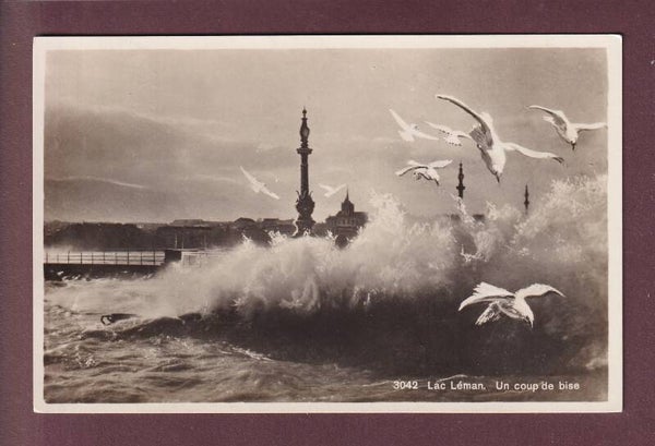 LAC LEMAN - Un coup de bise