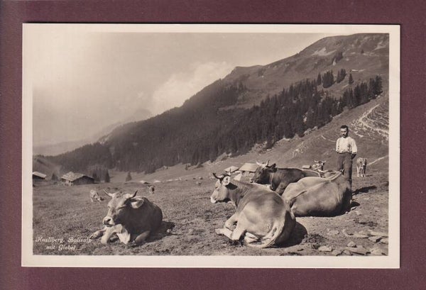 HASLIBERG - Balisalp - Giebel - Kühe