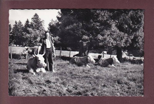 En GRUYERE - Vaches - Armailli