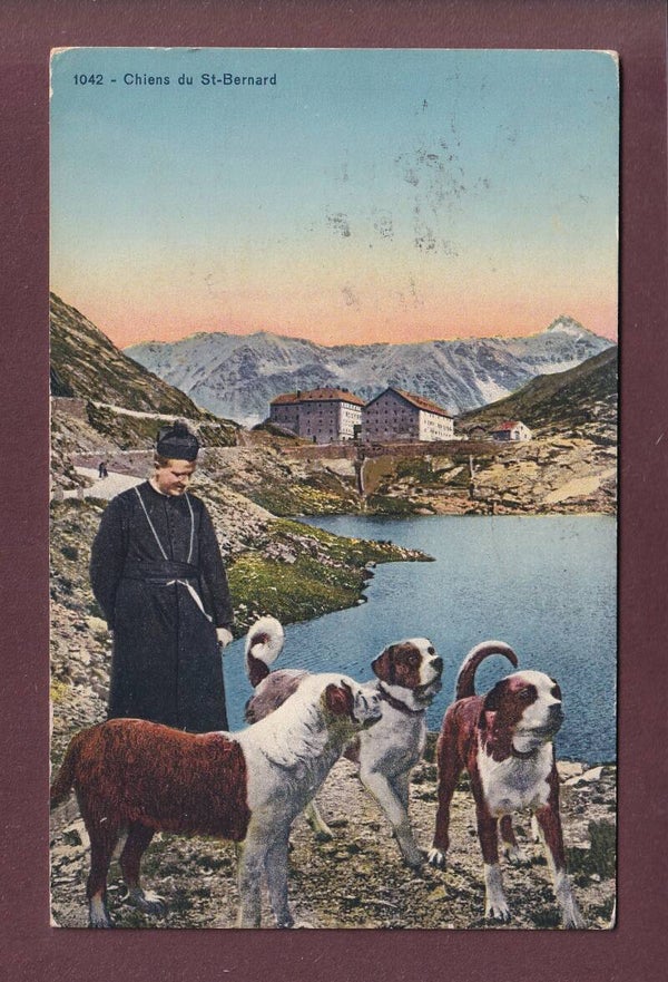 GRAND-SAINT-BERNARD - Maître et chiens - 1930