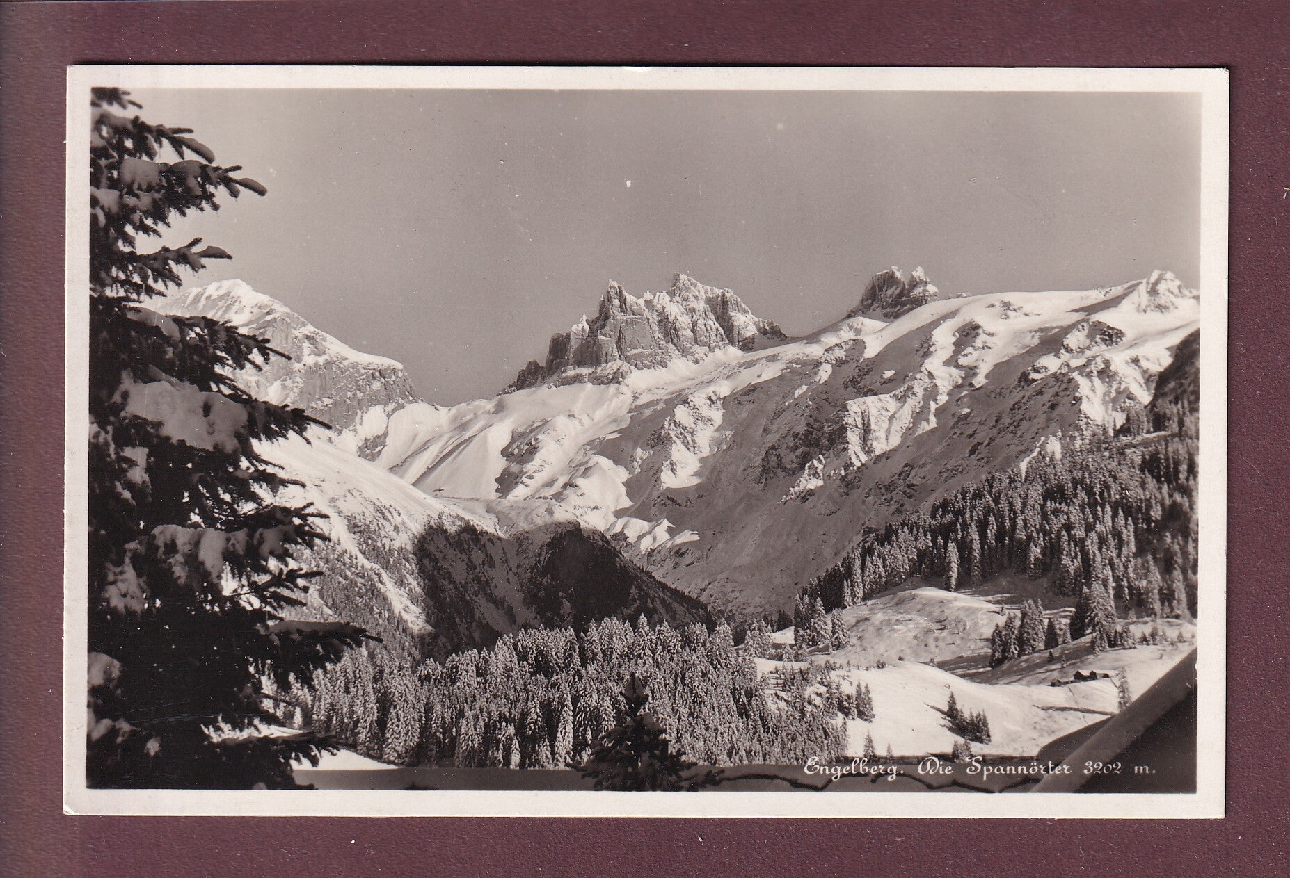 Engelberg - SPANNÖRTER