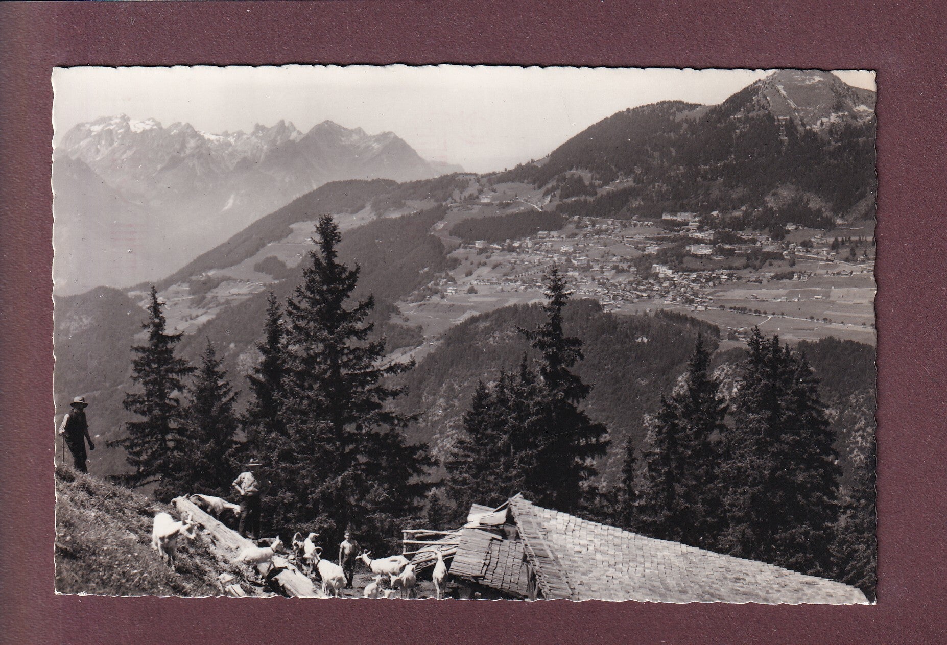 LEYSIN de loin - Chèvres - 1968