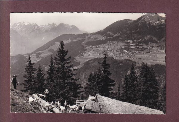 LEYSIN de loin - Chèvres - 1968