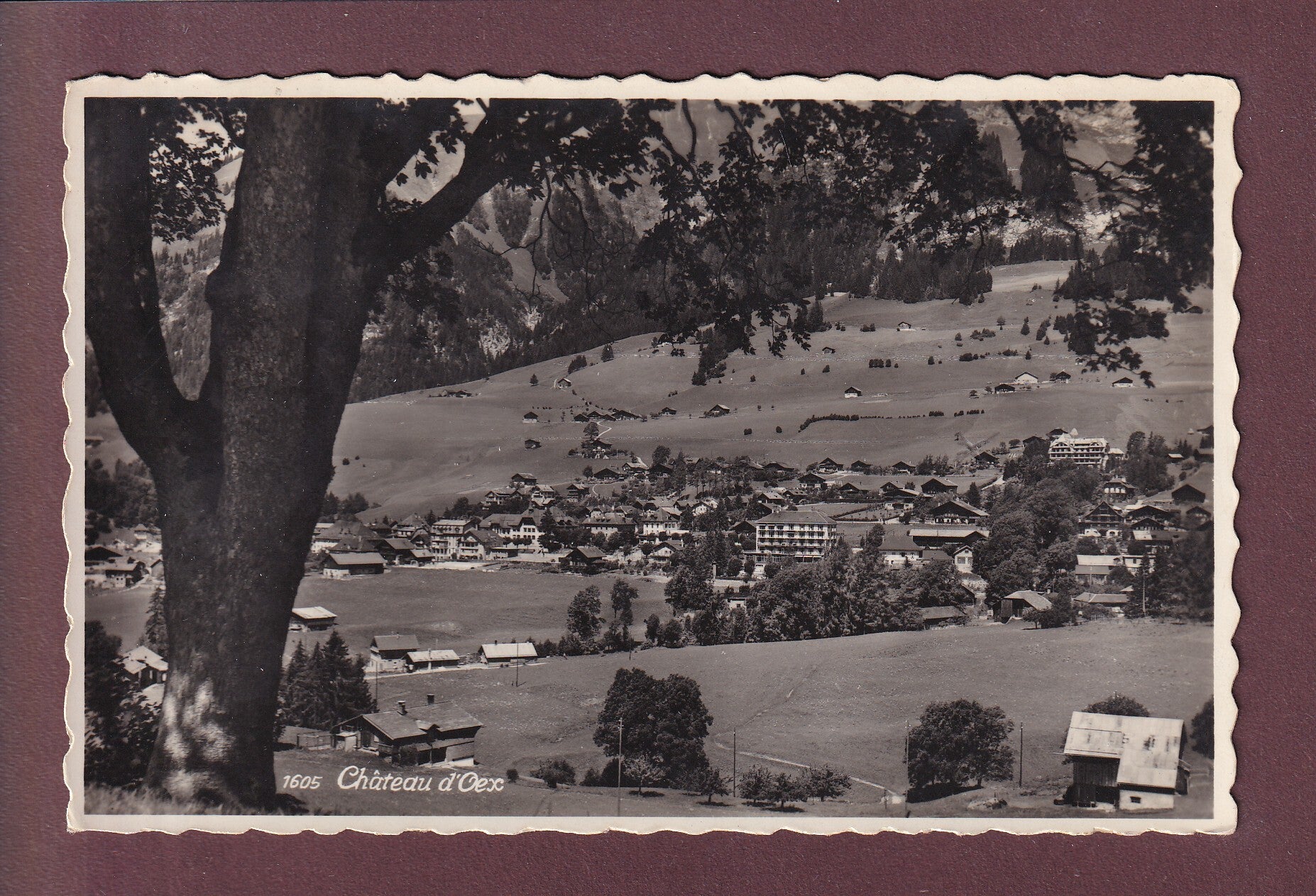 CHÂTEAU D'OEX - 1954