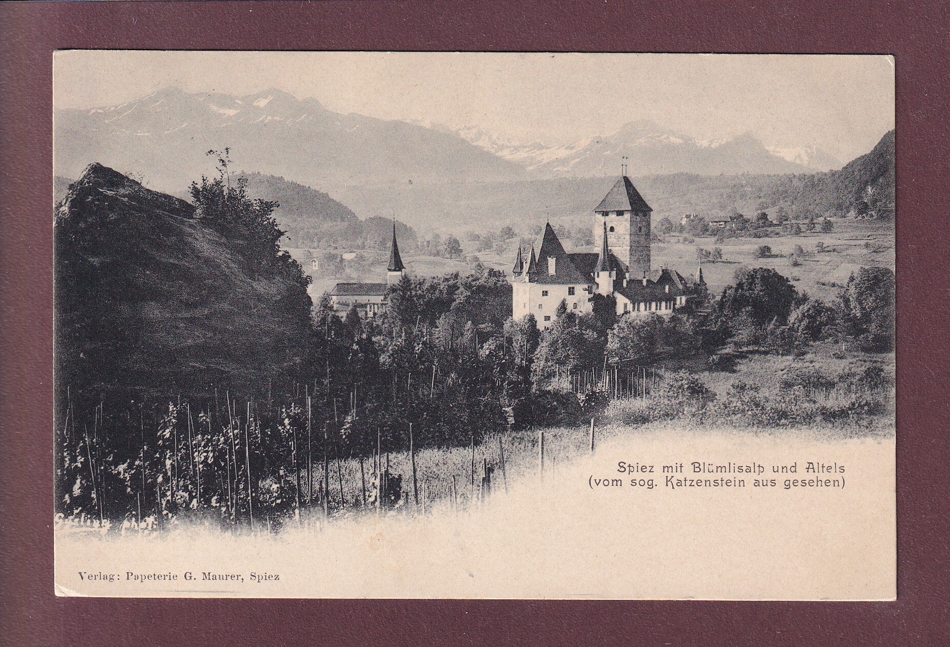 SPIEZ - Schloss - Blümlisalp