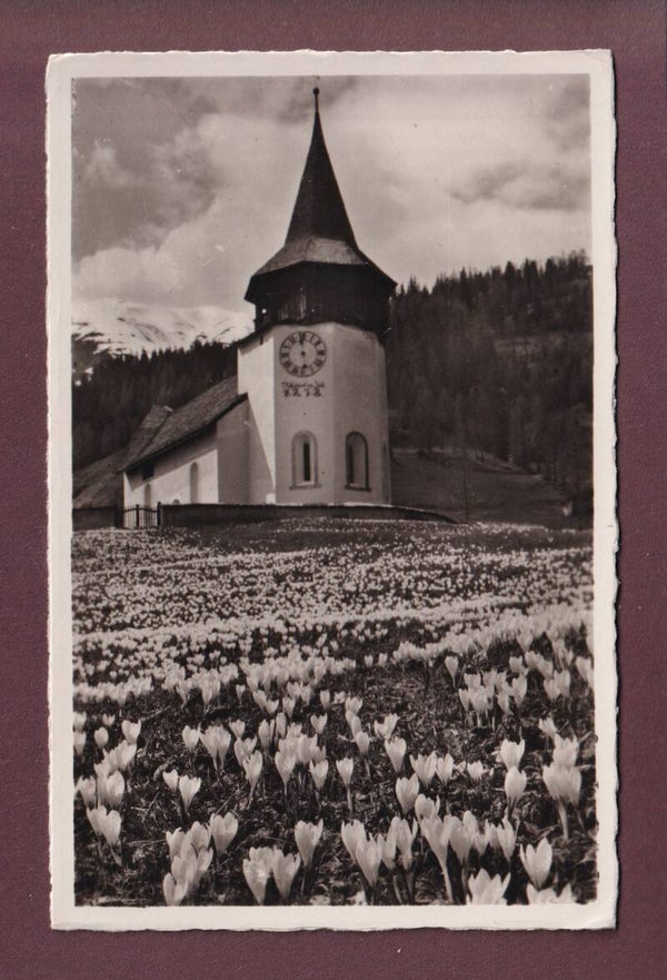 DAVOS - Frauenkirchli - Krokus - 1937