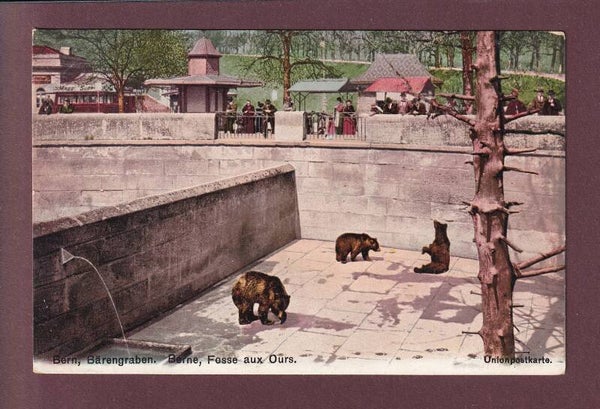 BERN - Bärengraben