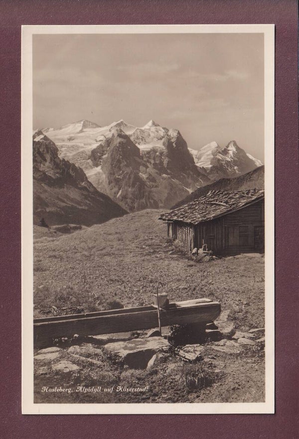 HASLEBERG - Alpidyll auf Käserstadt