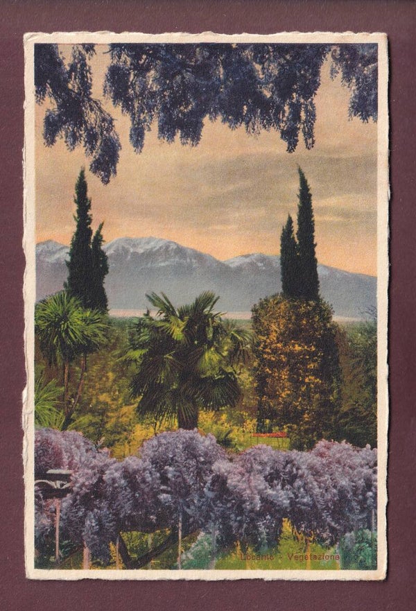 LOCARNO - Vegetazione