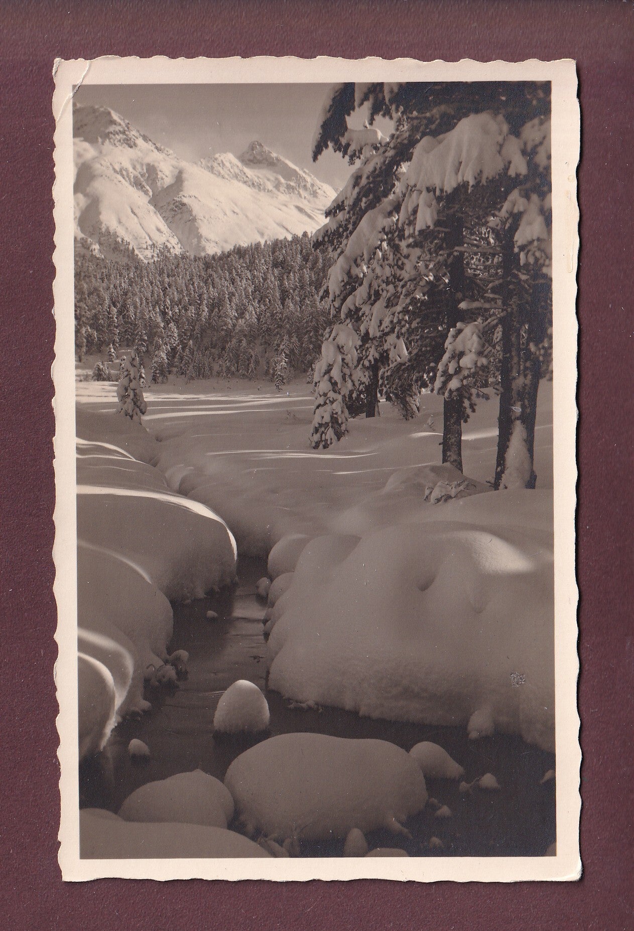 Am STAZERSEE bei St. Moritz // Eckbug //