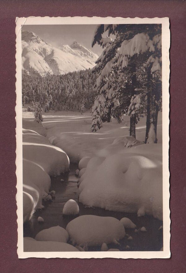 Am STAZERSEE bei St. Moritz // Eckbug //