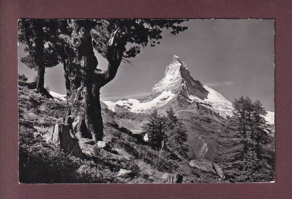 ZERMATT - Riffelalp - Matterhorn - 1961
