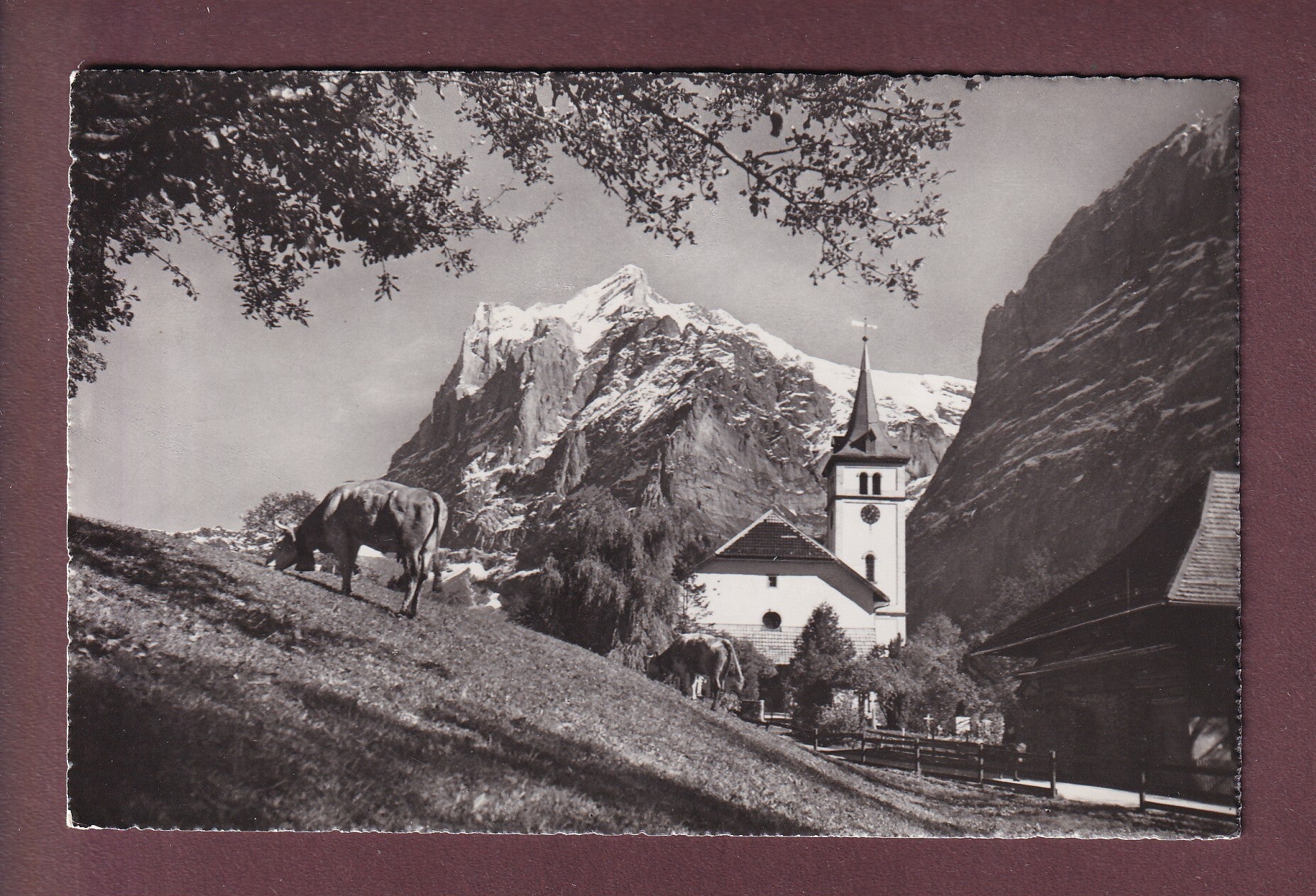 GRINDELWALD - Kirche - Wetterhorn - 1952