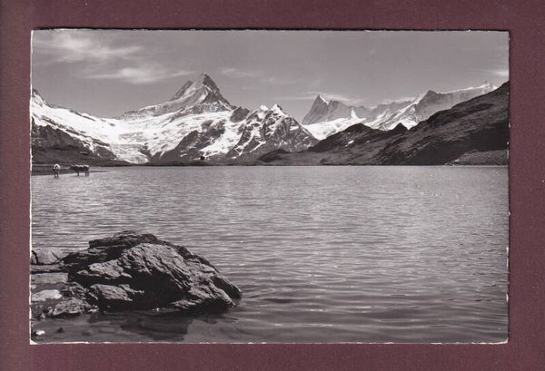Grindelwald - BACHSEE - 1958