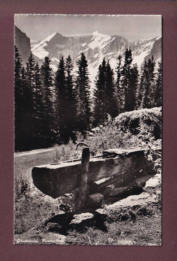 Grindelwald - FIESCHERHORN - 1947