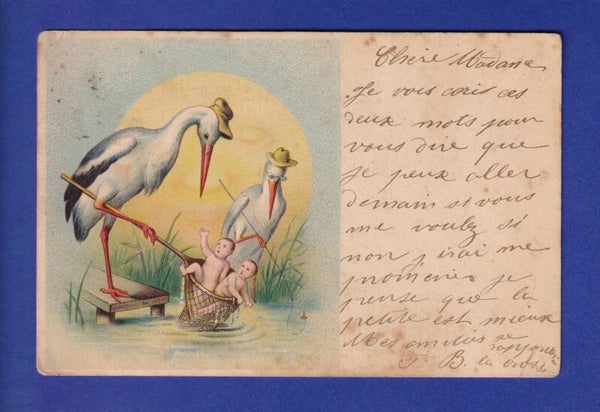 ENFANT - Les cigognes pêchent des bébés