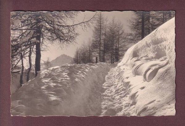 DAVOS - Waldweg im Winter
