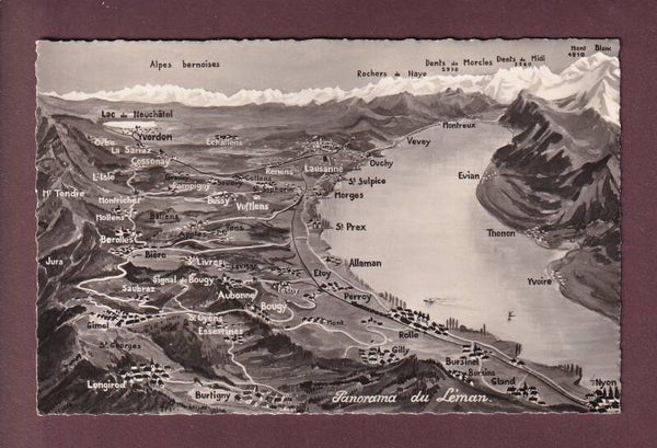 Panorama du LEMAN - Vol d'oiseau - 1950