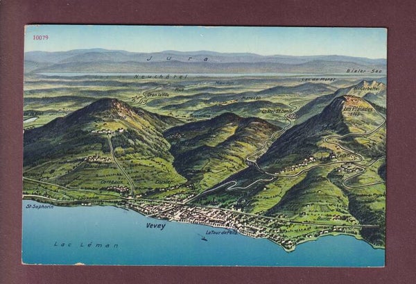 VEVEY et environs - Vol d'oiseau