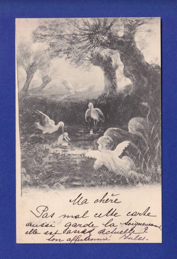 ENFANT - Bébés et cigognes - 1899