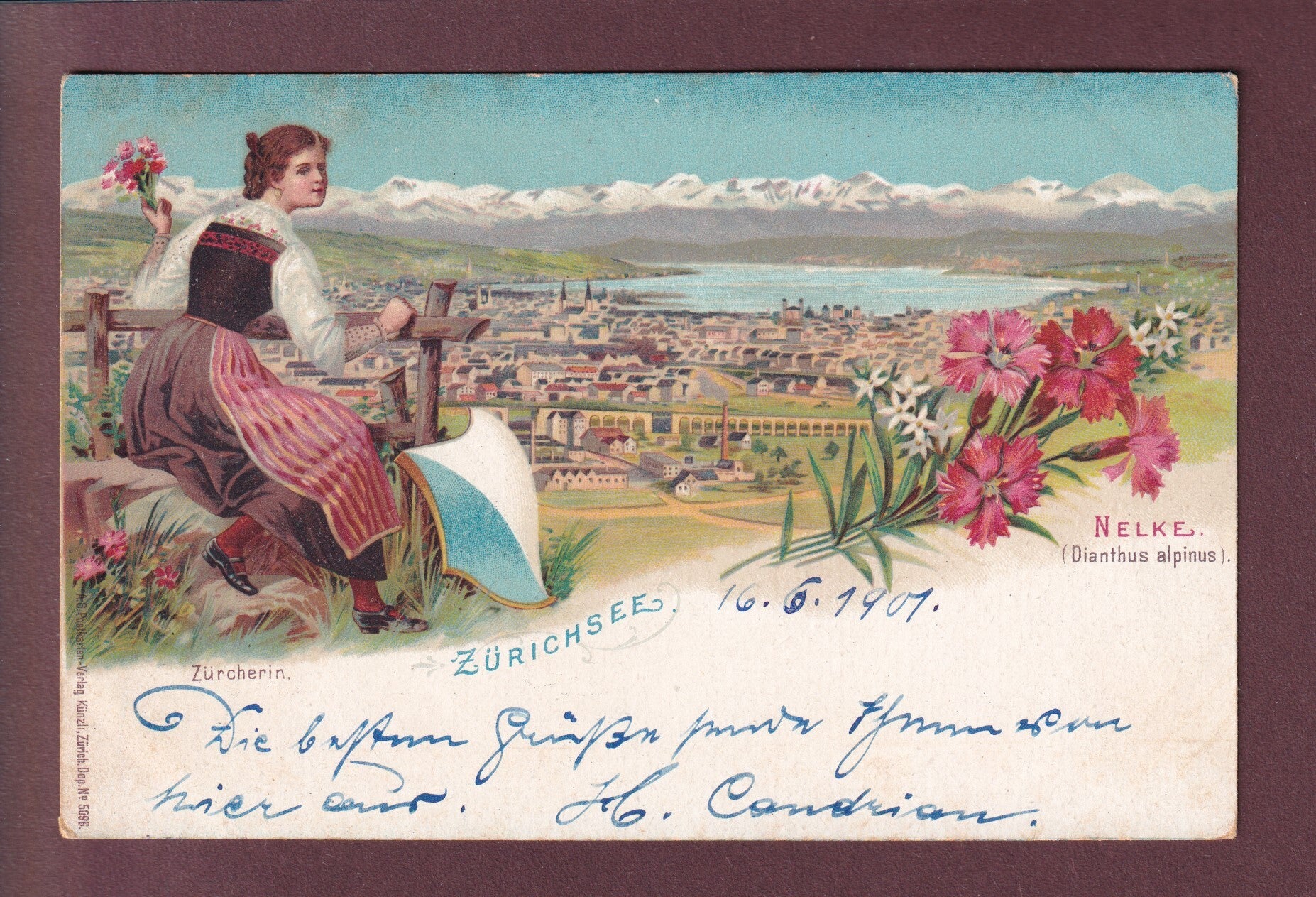 ZÜRICH - Zürcherin - Nelke - Litho Künzli - 1901