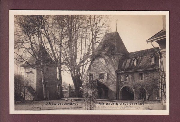Château de GOUMOËNS
