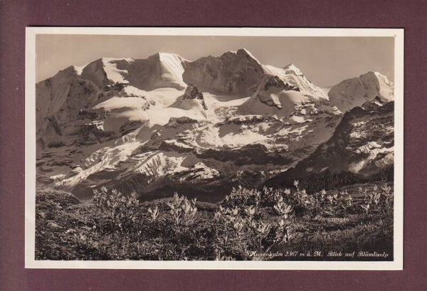 NIESEN-KULM - Blick auf Blümlisalp