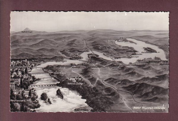 RHEINFALL - Vogelschau