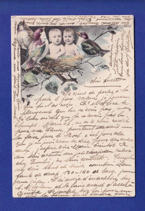 ENFANT - Bébés dans le nid