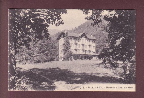 BEX - Hôtel de la Dent du Midi