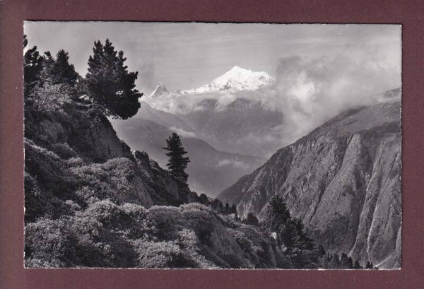 ALETSCHWALD bei Riederalp - 1967 // Eckbug //