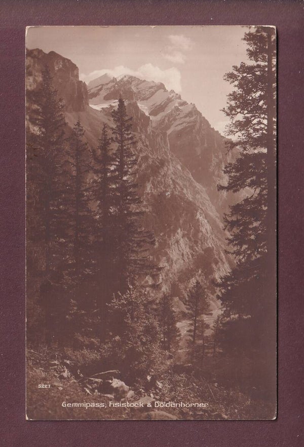 GEMMIPASS - Fisistock - 1920