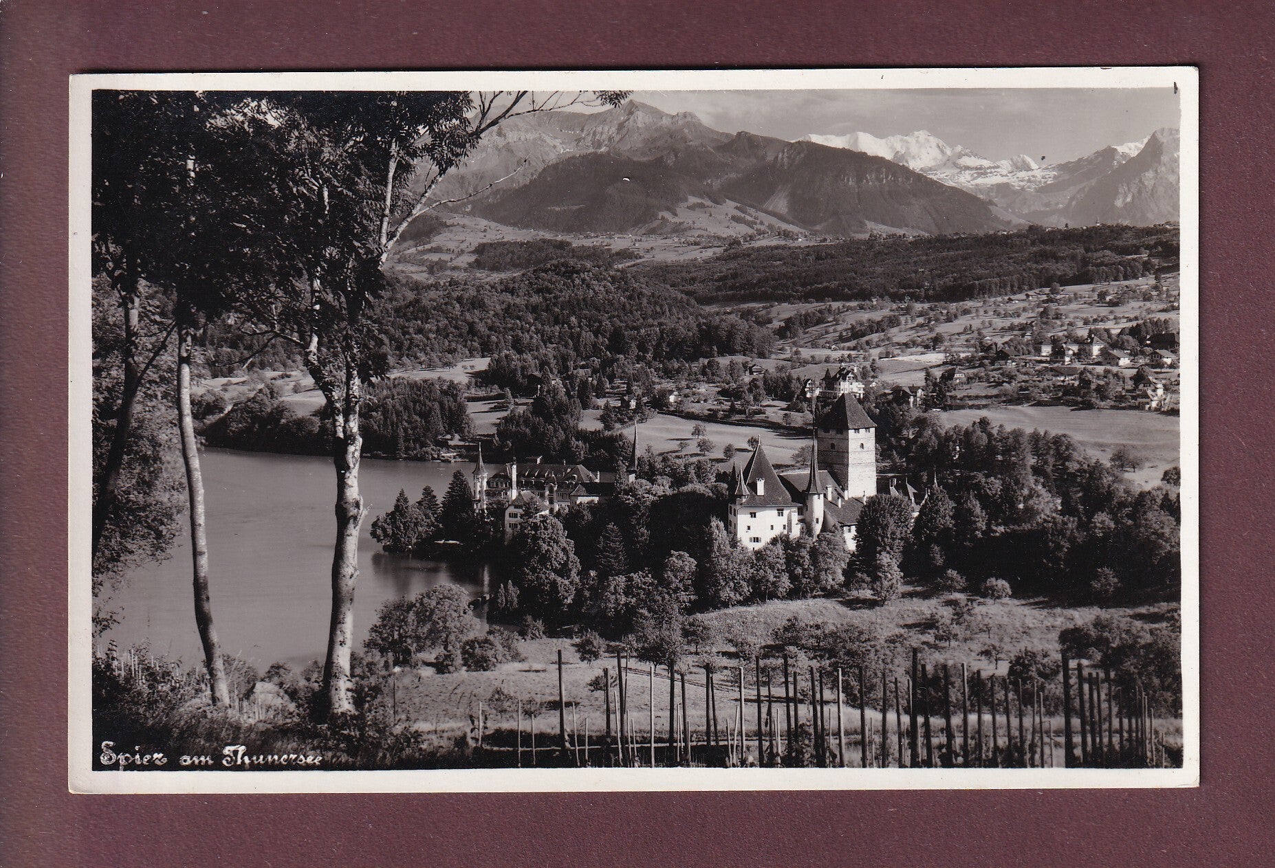 SPIEZ am Thunersee