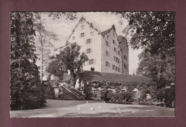 SCHLOSS WILDEGG - Burghof