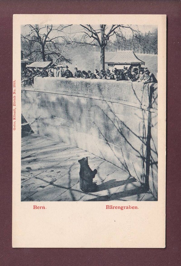 BERN - Bärengraben