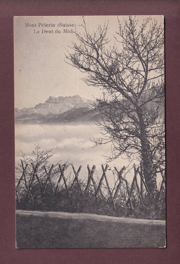 MONT PELERIN - Dents du Midi - 1911