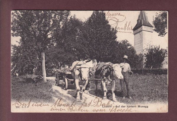 LUZERN - Auf der hintern Musegg - Pflug - 1912