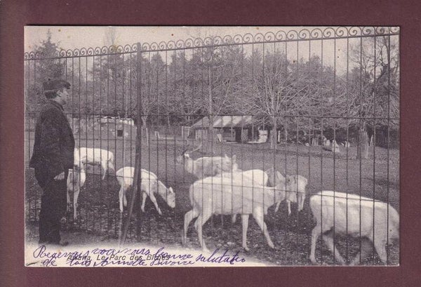 GENEVE - Ariana - Parc aux biches - 1909