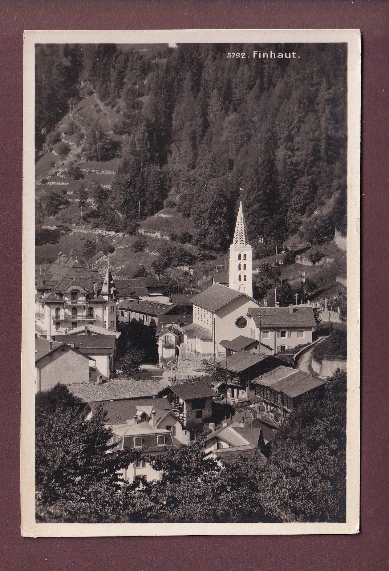 FINHAUT