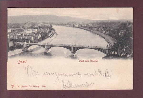BASEL - Blick vom Münster - 1902
