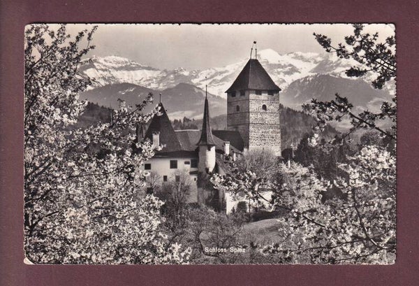 SCHLOSS SPIEZ - 1954