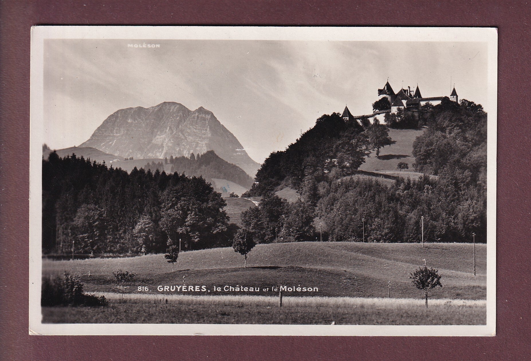 GRUYERES - Château et Moléson