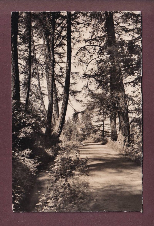 Aux MAYENS DE SION - 1948