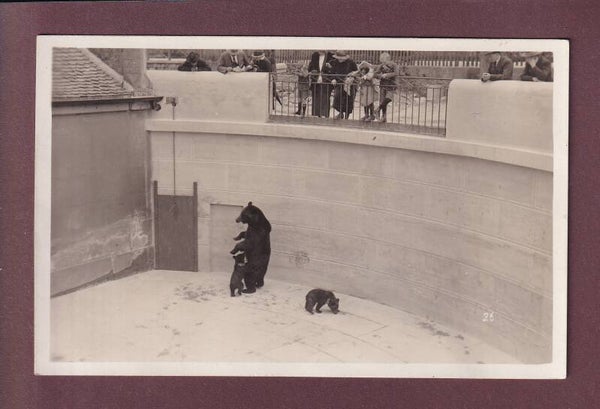 BERN - Bärengraben - 1932 - Photo