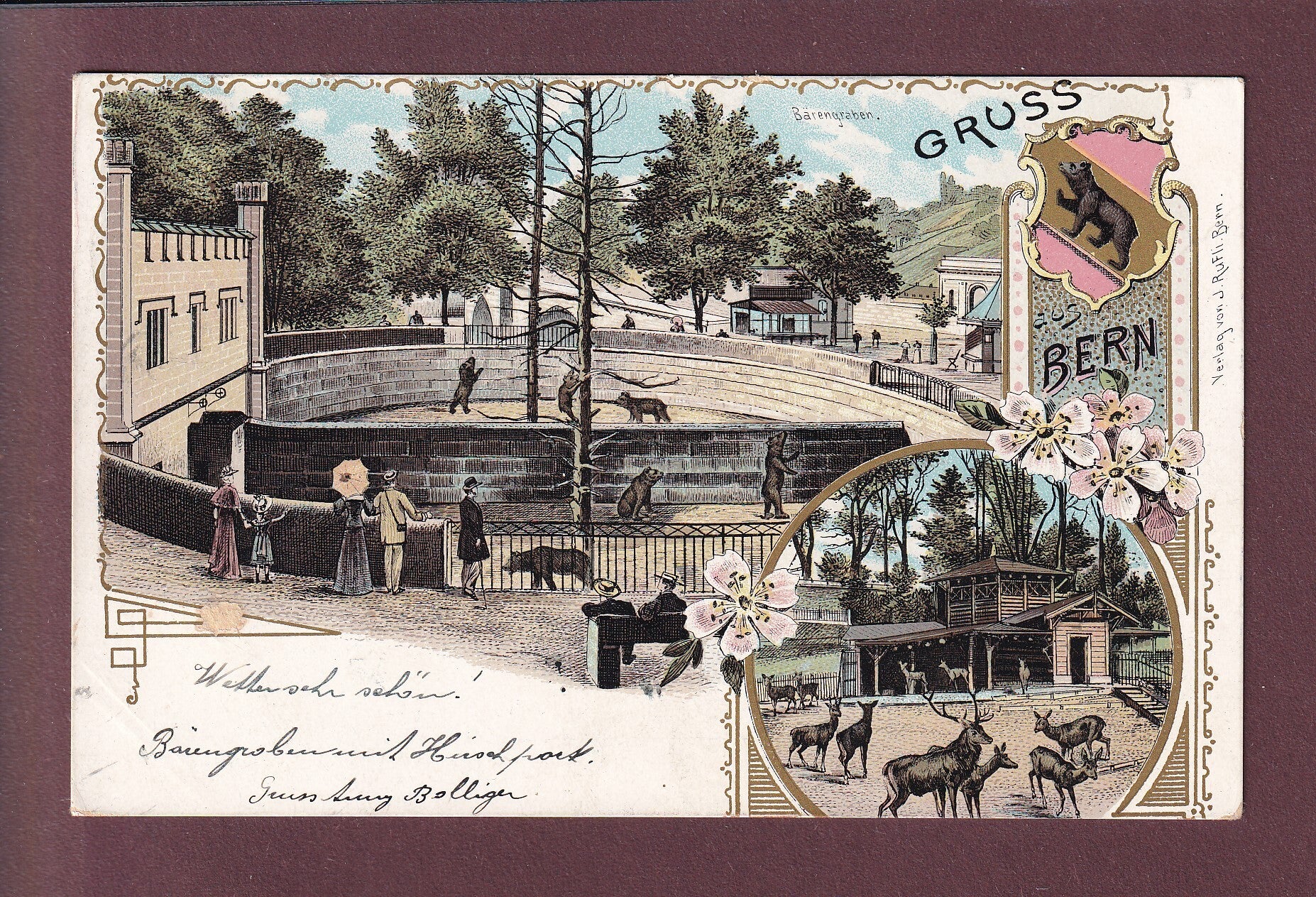 Gruss aus BERN - Bärengraben - 1902 Litho Rufli // leichte Falte //