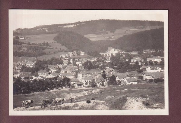 COUVET - Vaches