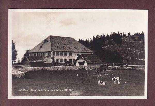 Hôtel de la VUE DES ALPES
